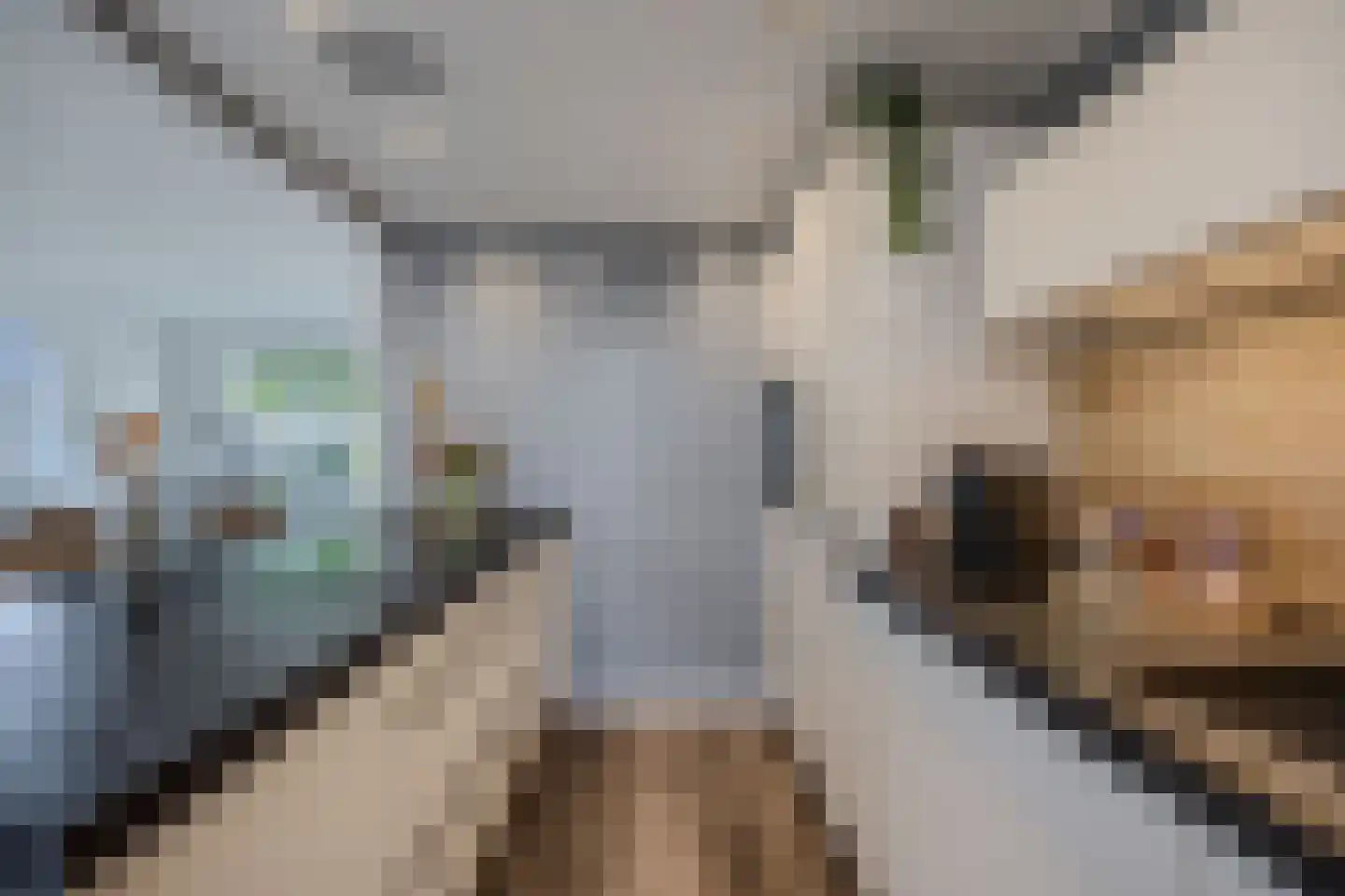 De Banier 1 Swifterbant thumbnail 24