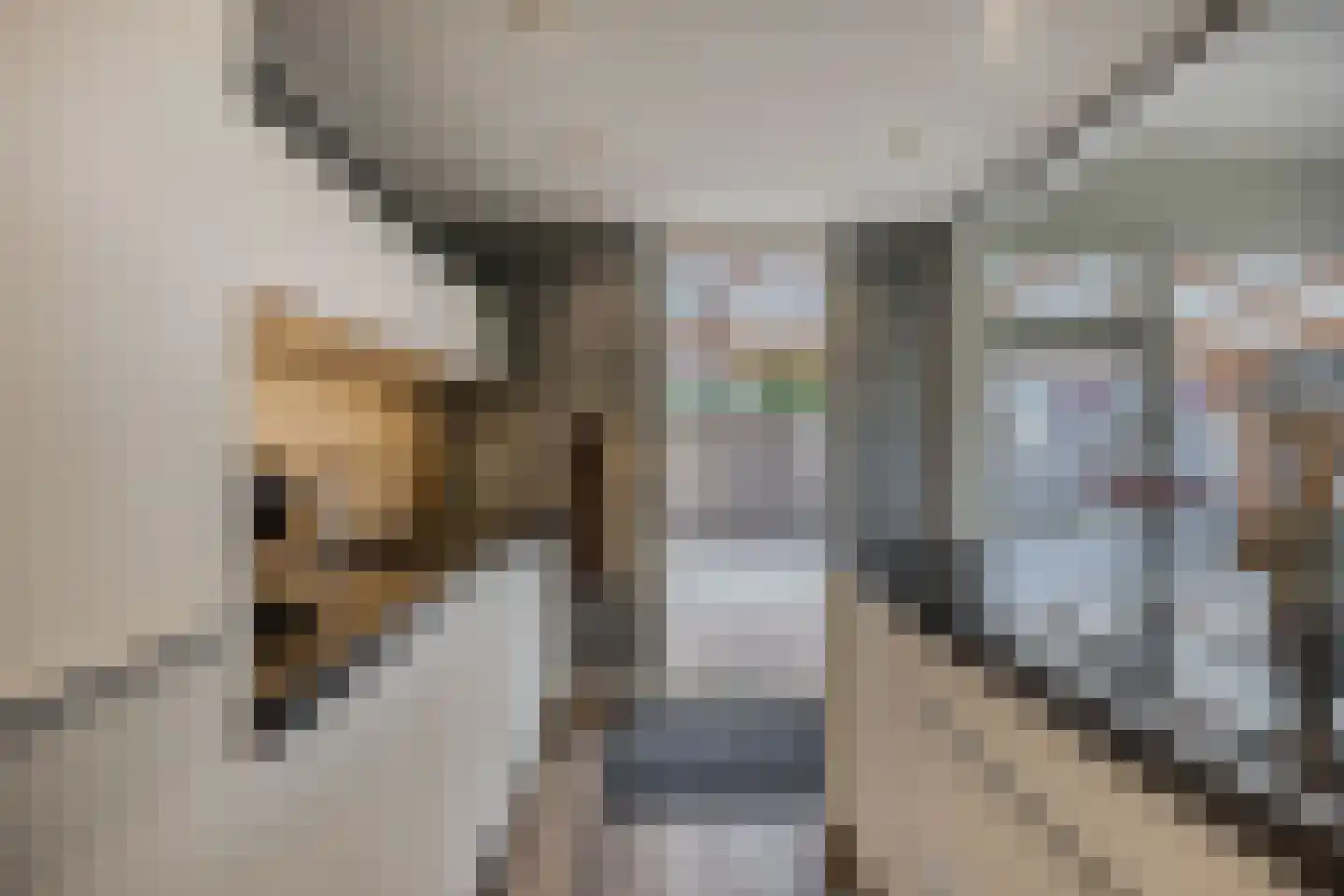 De Banier 1 Swifterbant thumbnail 26