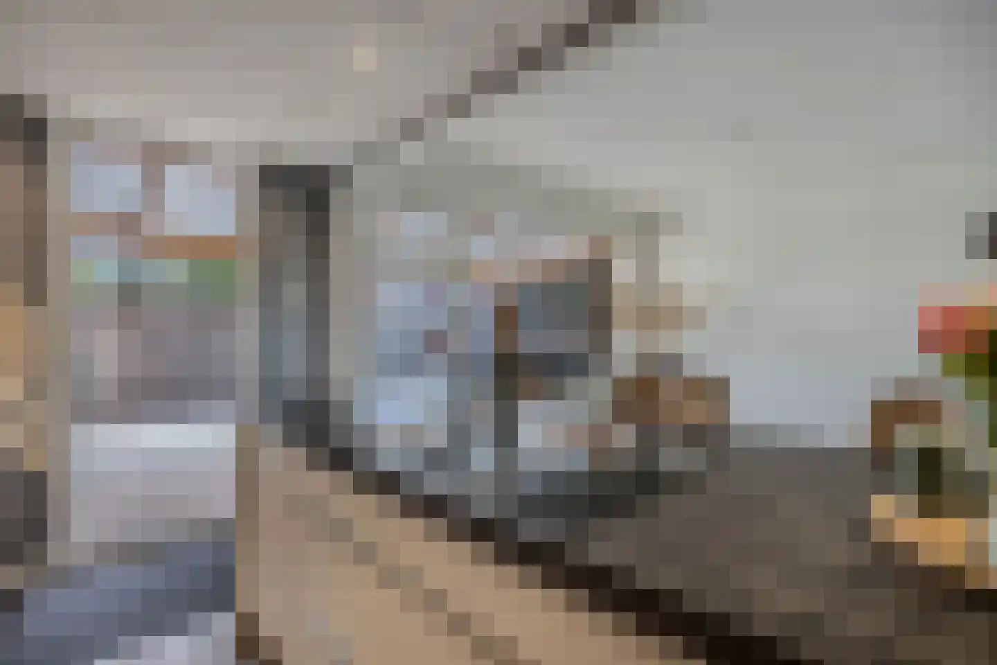 De Banier 1 Swifterbant thumbnail 27
