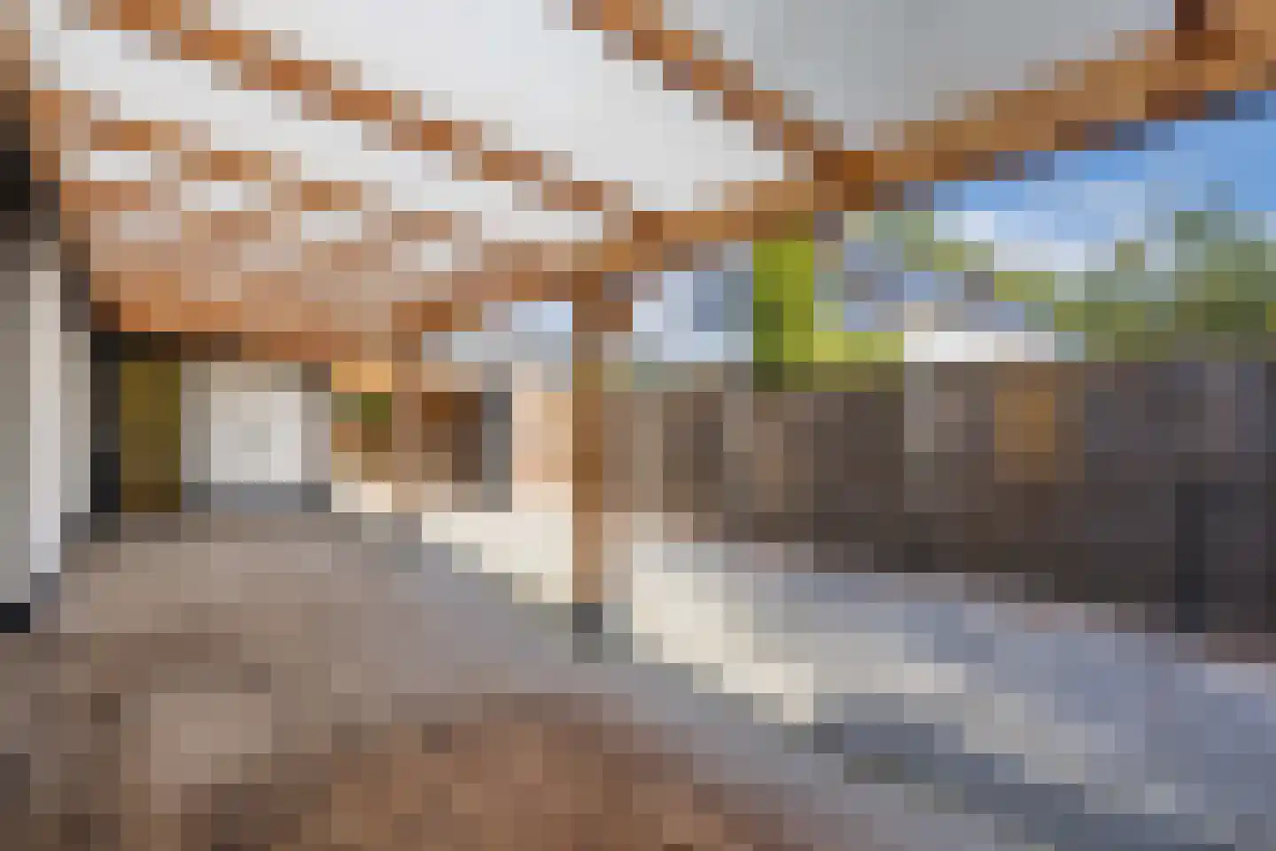 De Banier 1 Swifterbant thumbnail 28