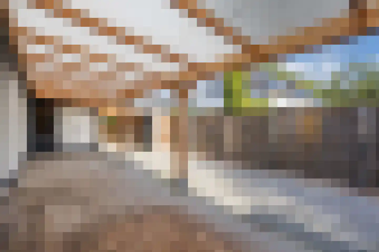 De Banier 1 Swifterbant thumbnail 31