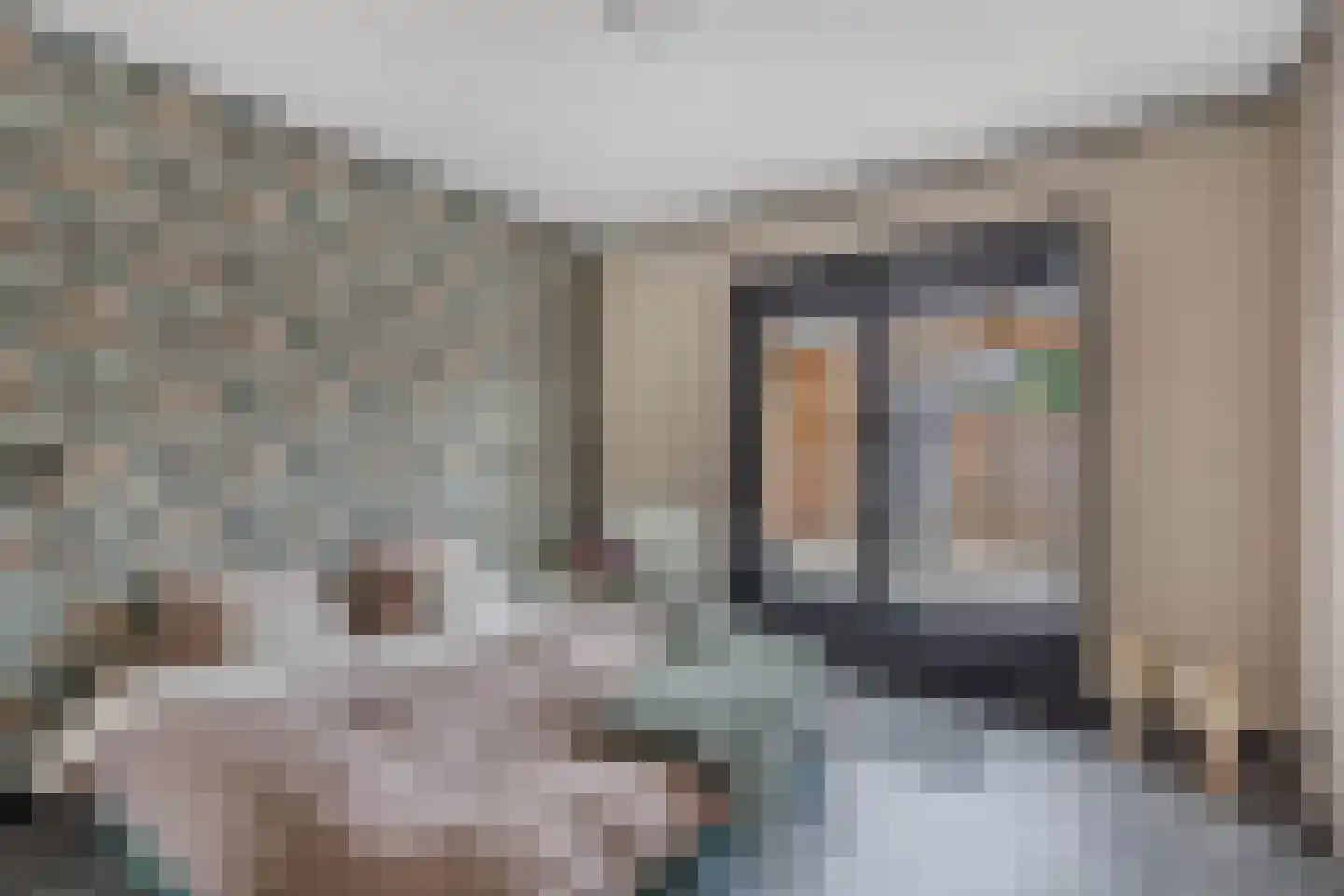 De Banier 1 Swifterbant thumbnail 32