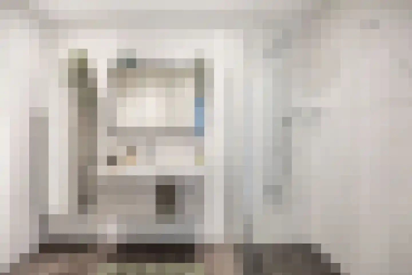 De Banier 1 Swifterbant thumbnail 34