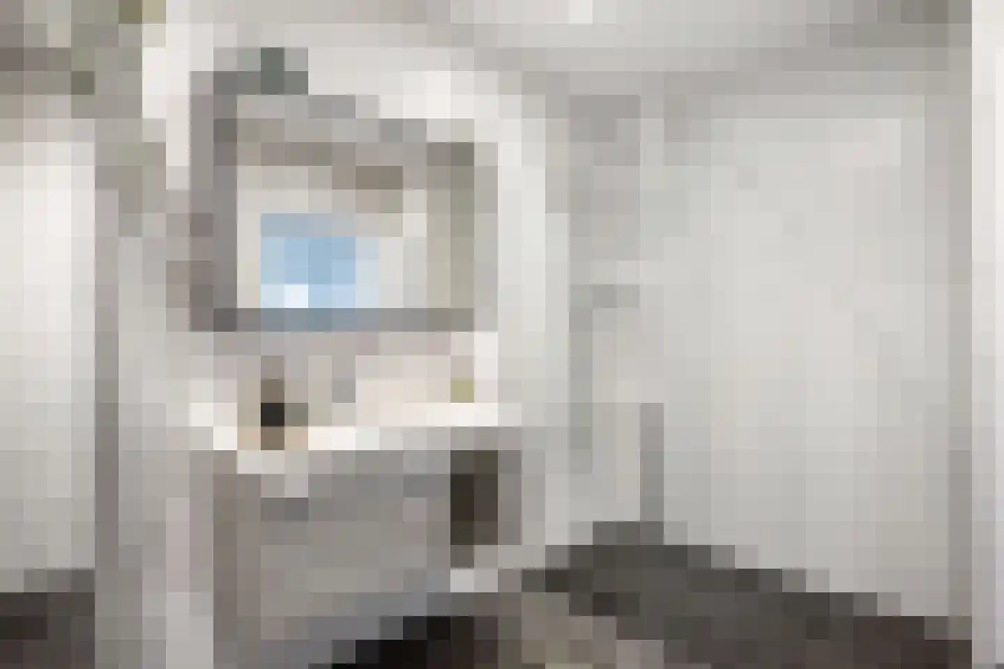 De Banier 1 Swifterbant thumbnail 35