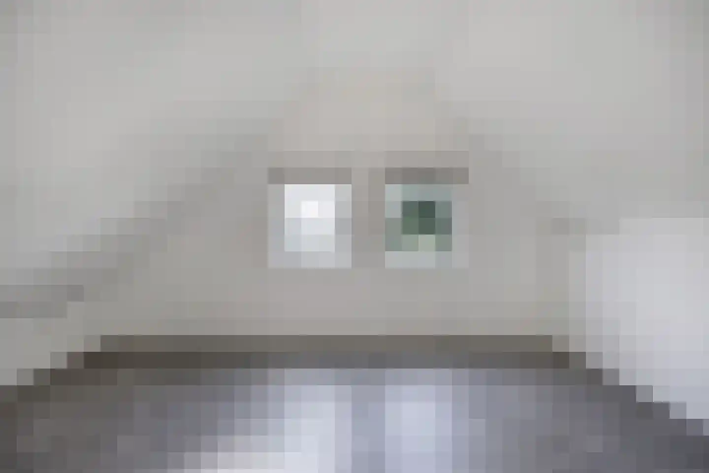 De Banier 1 Swifterbant thumbnail 38