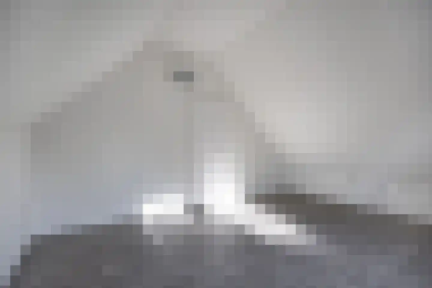 De Banier 1 Swifterbant thumbnail 39