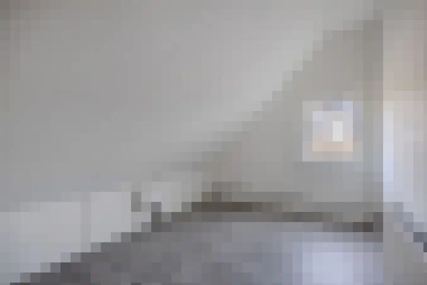 De Banier 1 Swifterbant thumbnail 41