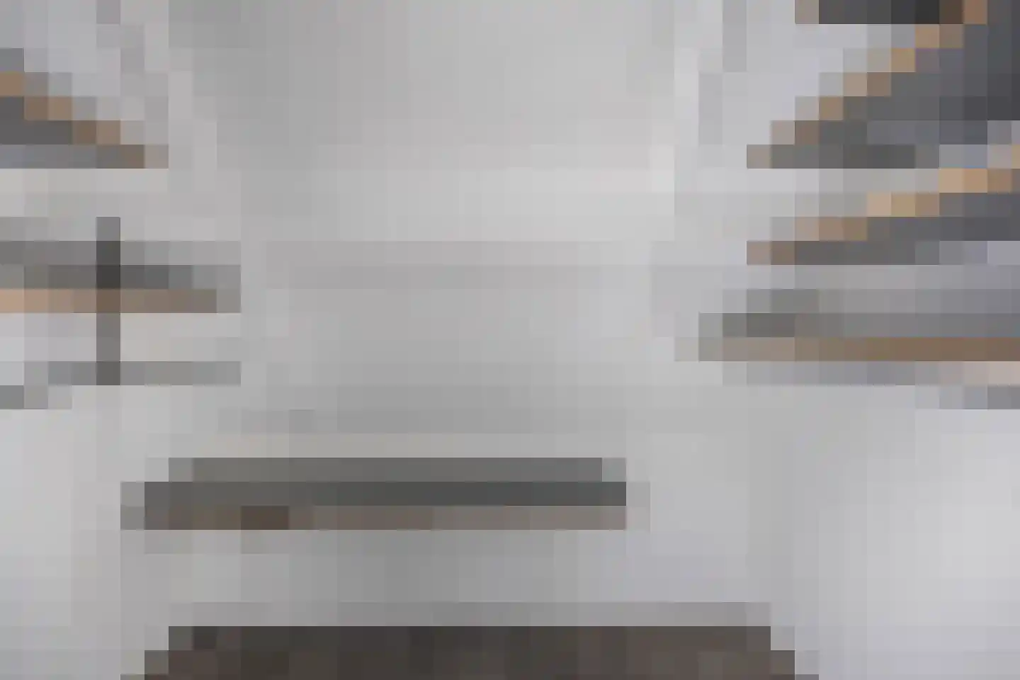 De Banier 1 Swifterbant thumbnail 42