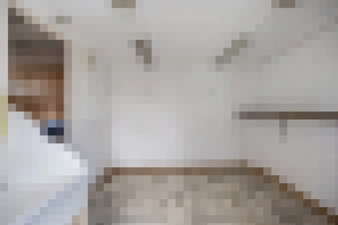 De Banier 1 Swifterbant thumbnail 43