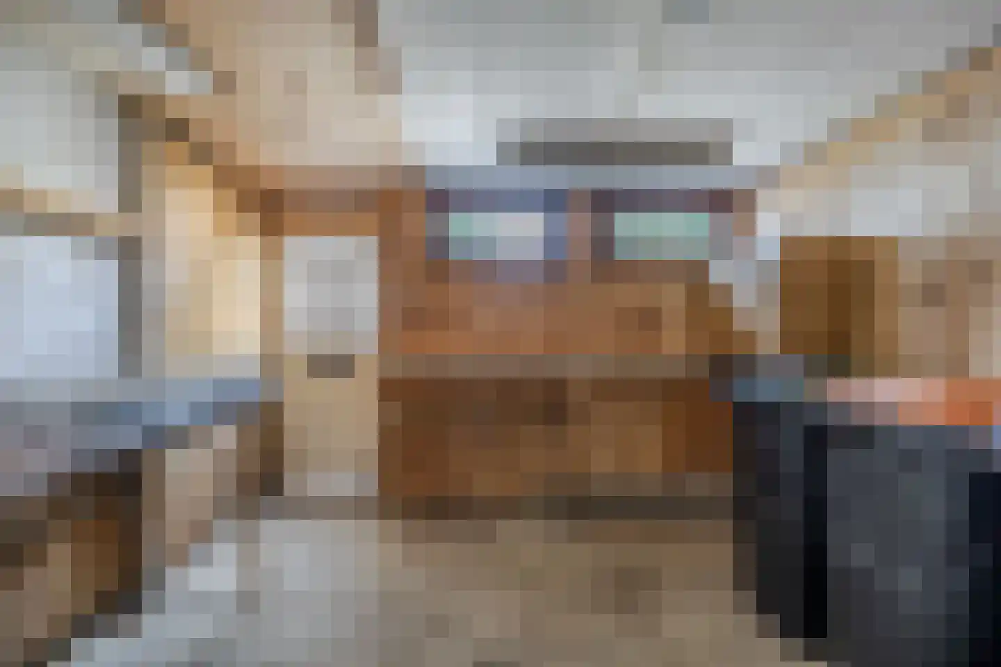 De Banier 1 Swifterbant thumbnail 44