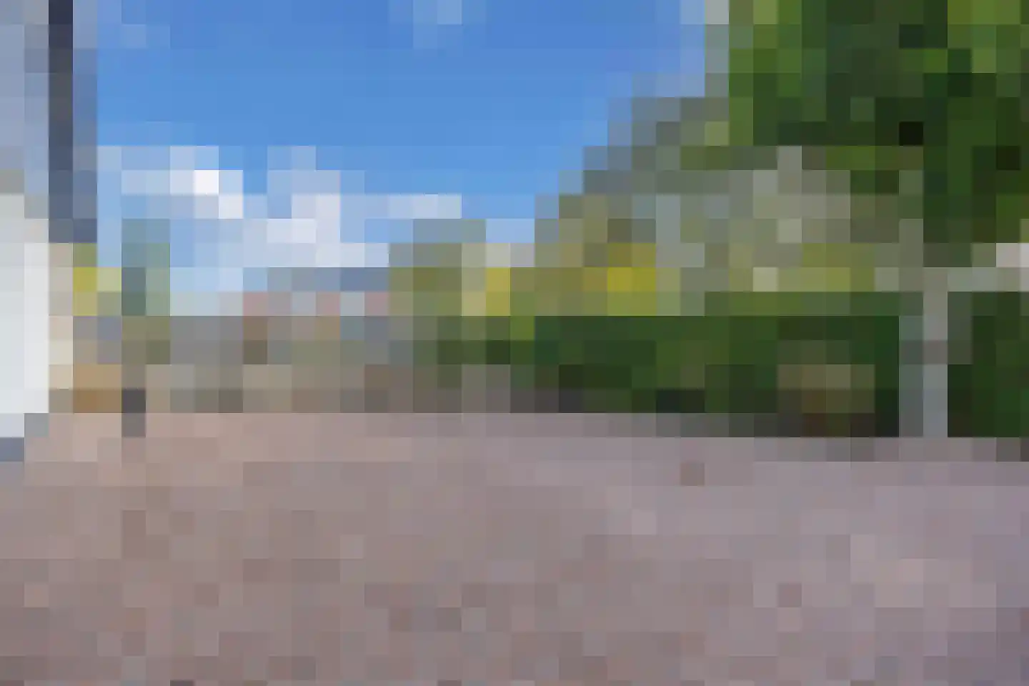 De Banier 1 Swifterbant thumbnail 46