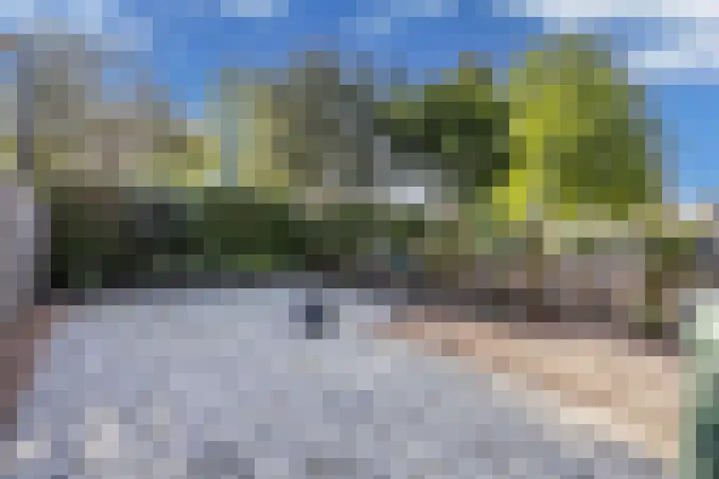 De Banier 1 Swifterbant thumbnail 47