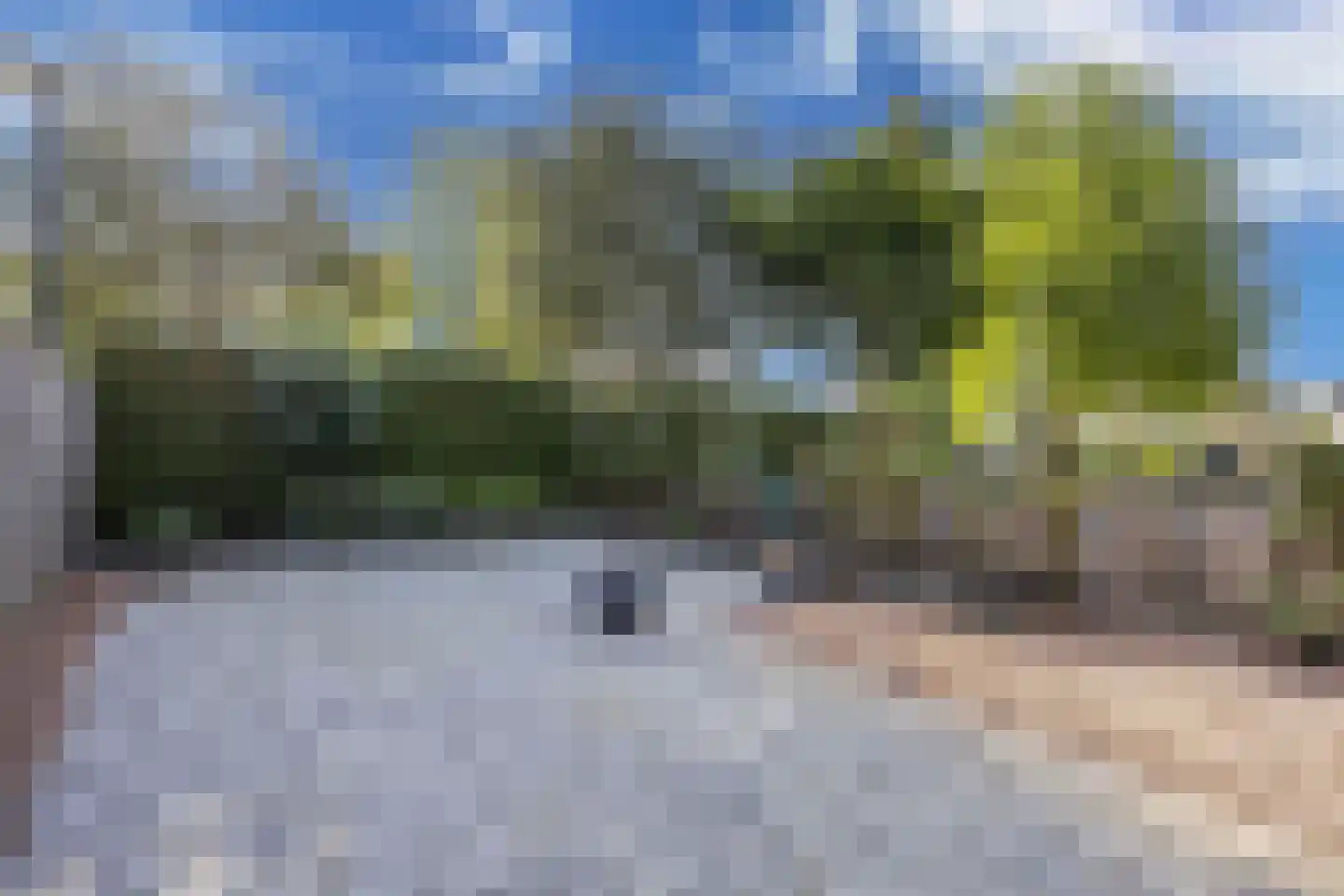 De Banier 1 Swifterbant thumbnail 48