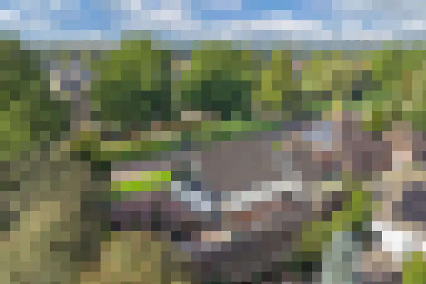 De Banier 1 Swifterbant thumbnail 53