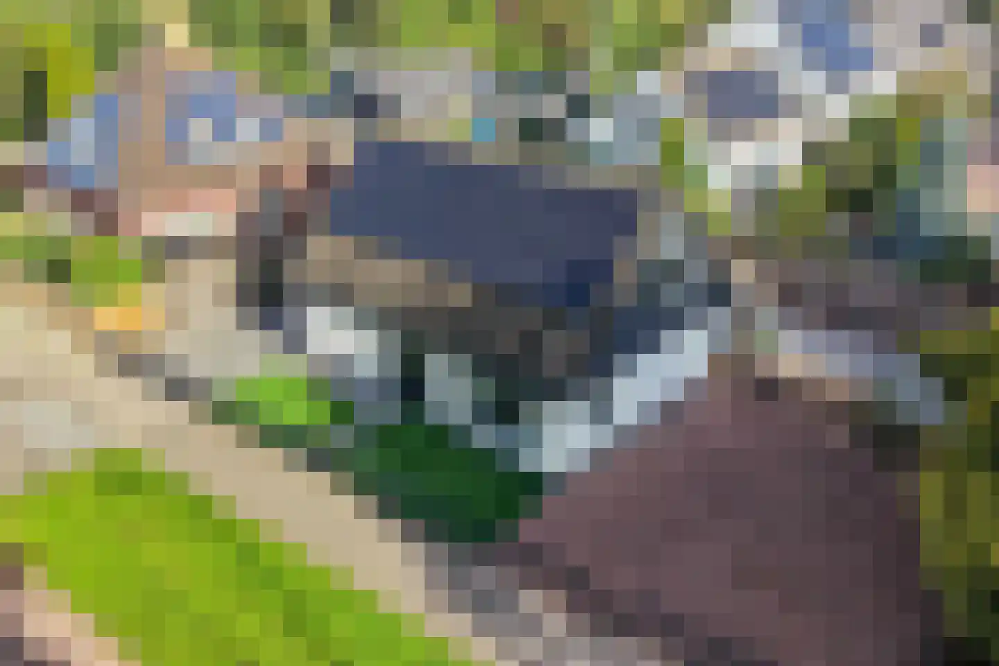 De Banier 1 Swifterbant thumbnail 6