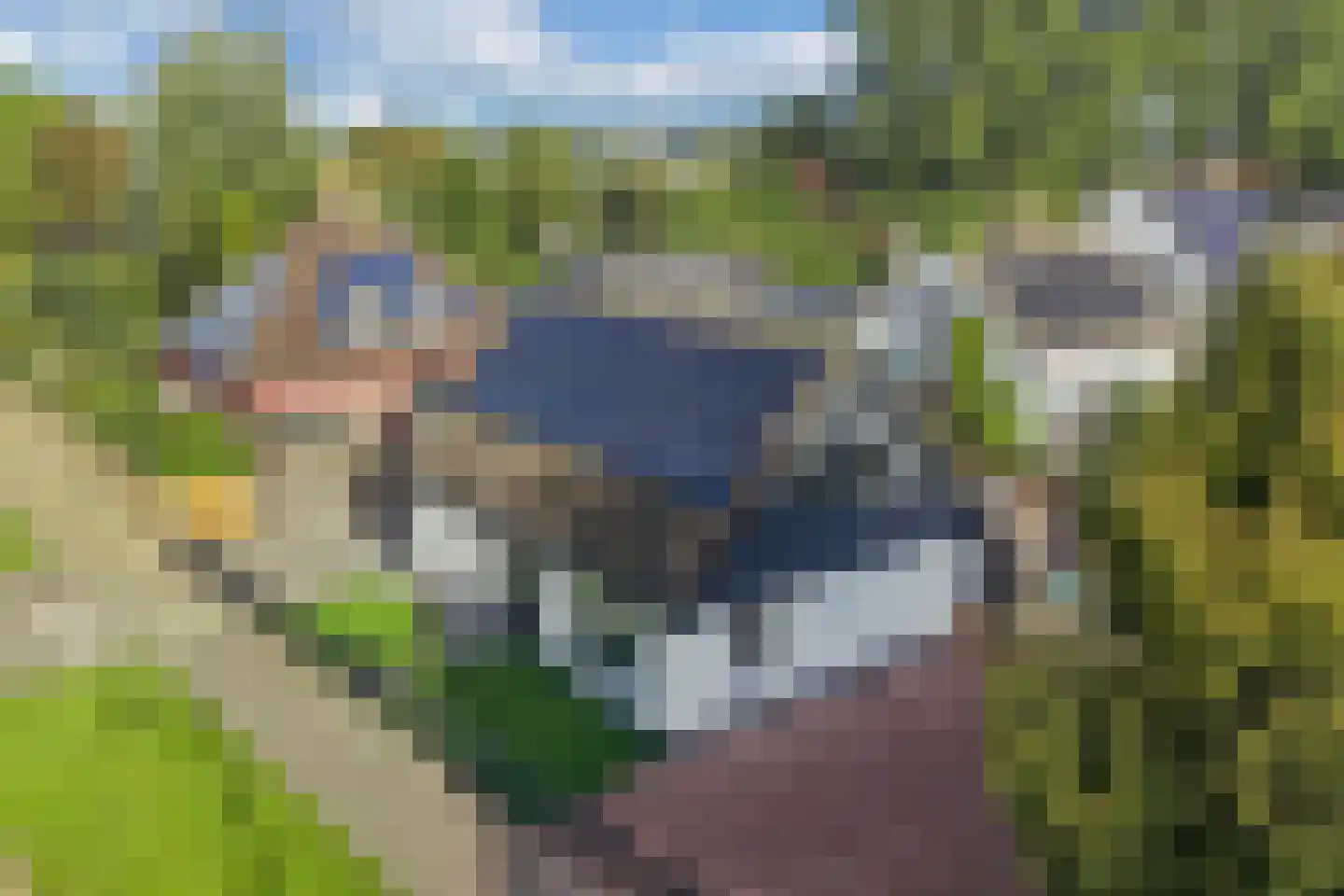 De Banier 1 Swifterbant thumbnail 7