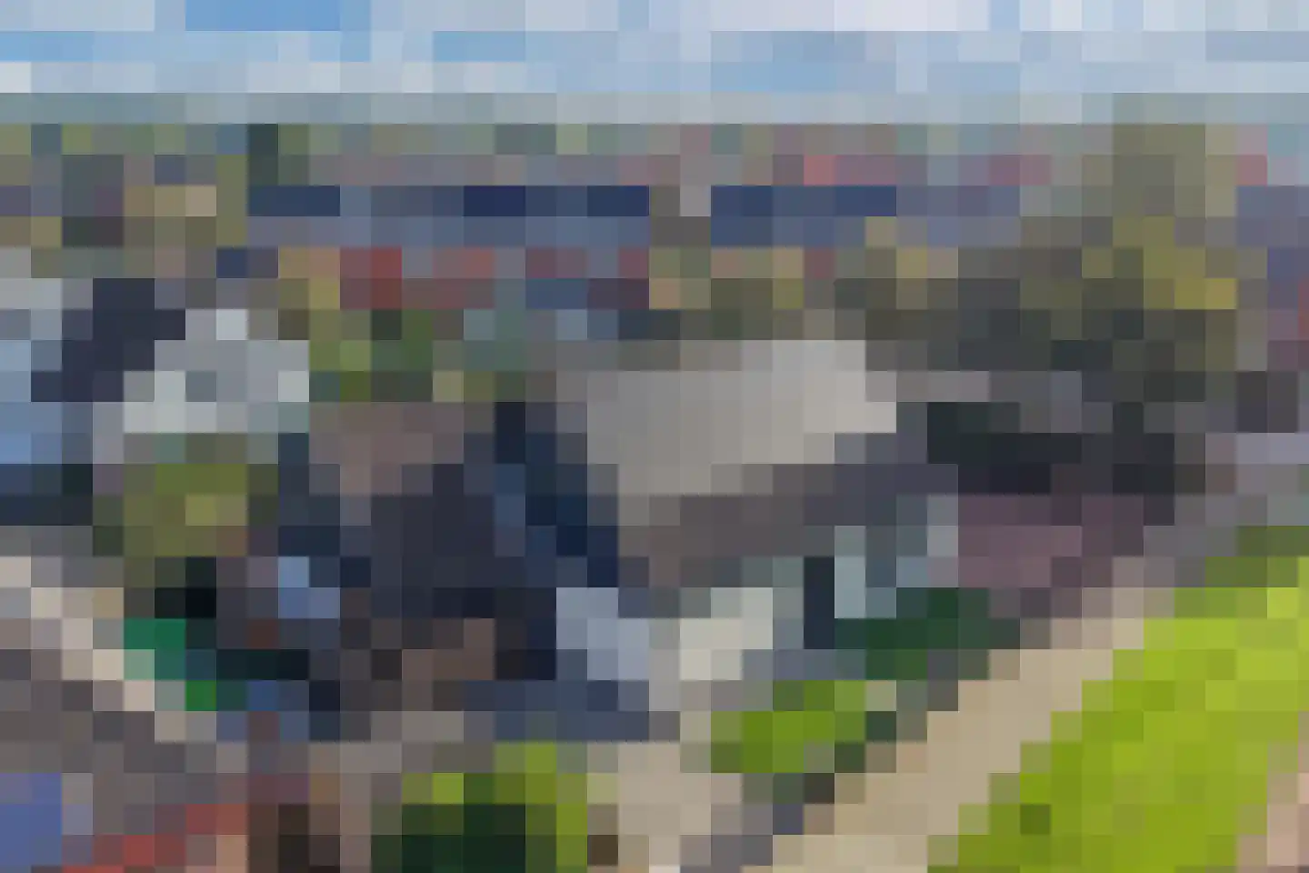 De Banier 1 Swifterbant thumbnail 8