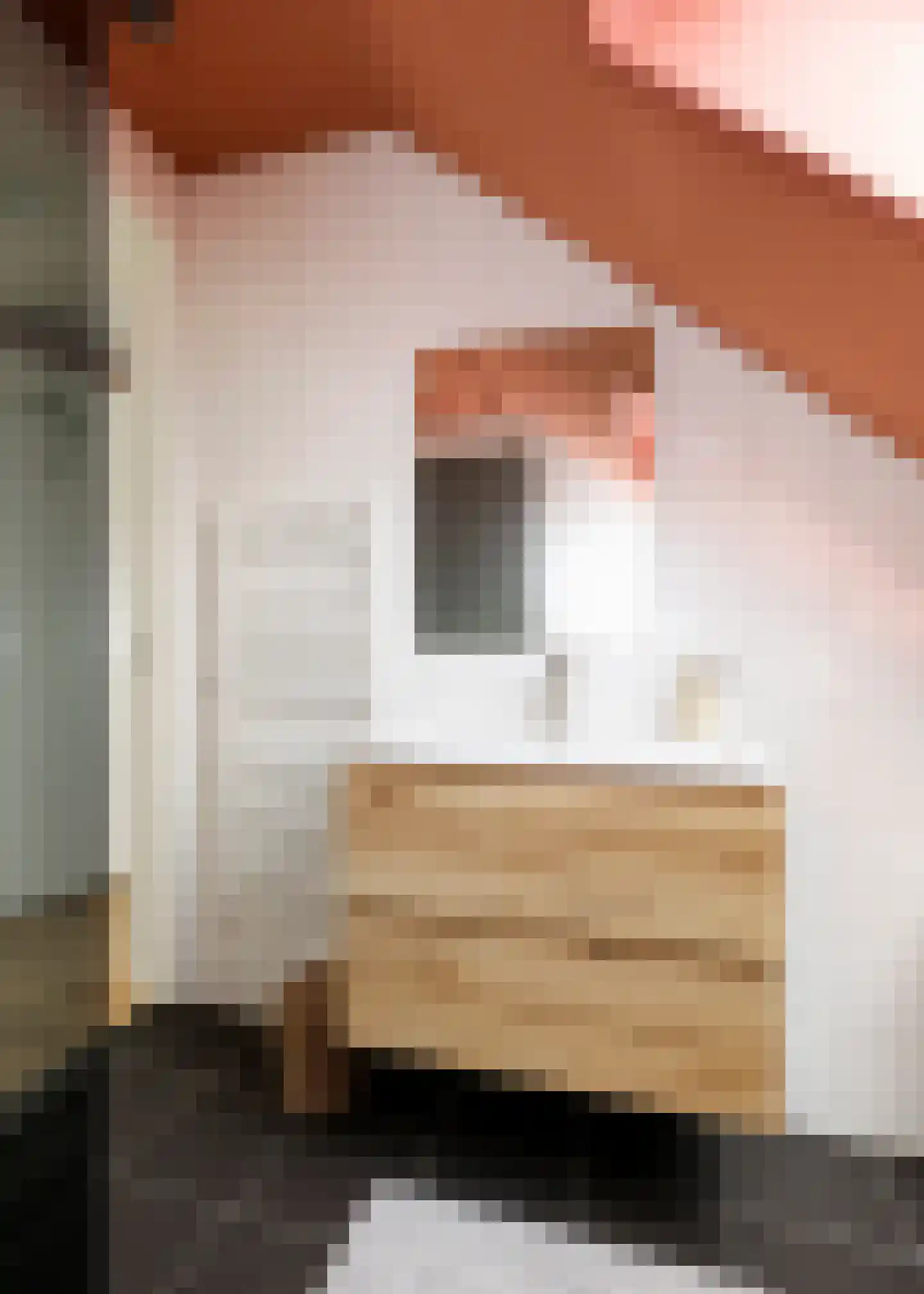 De Banier 22 Heerhugowaard thumbnail 20