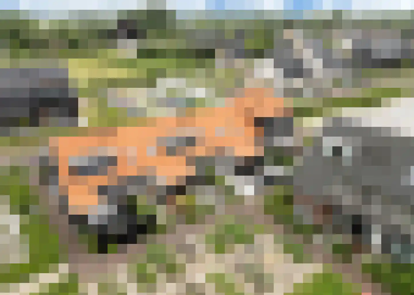 De Banier 22 Heerhugowaard thumbnail 37