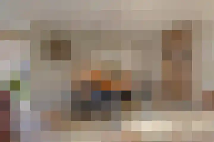 De Banier 25 Swifterbant thumbnail 11