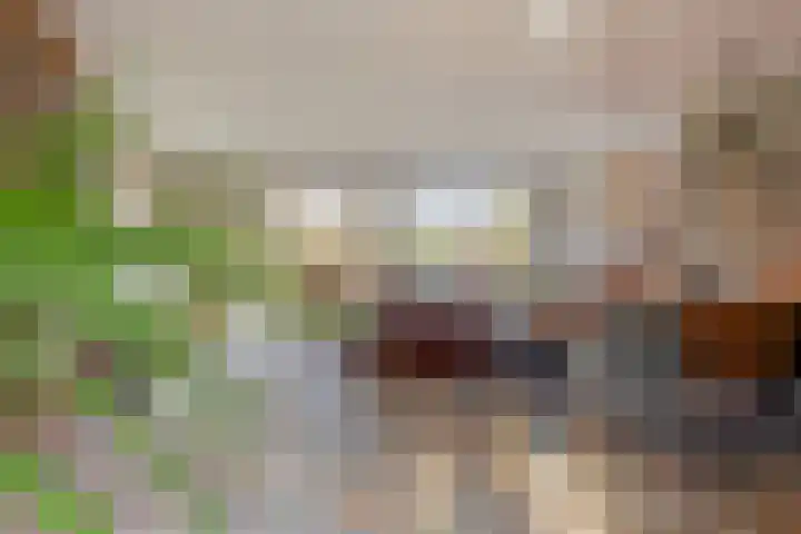 De Banier 25 Swifterbant thumbnail 12