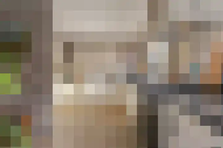 De Banier 25 Swifterbant thumbnail 13