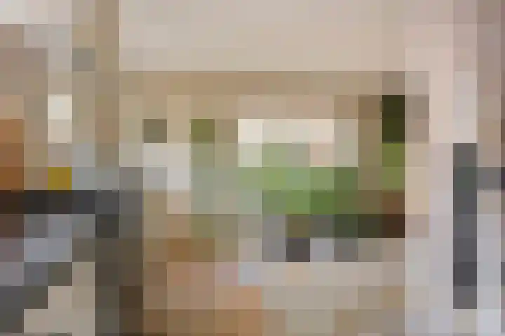 De Banier 25 Swifterbant thumbnail 15