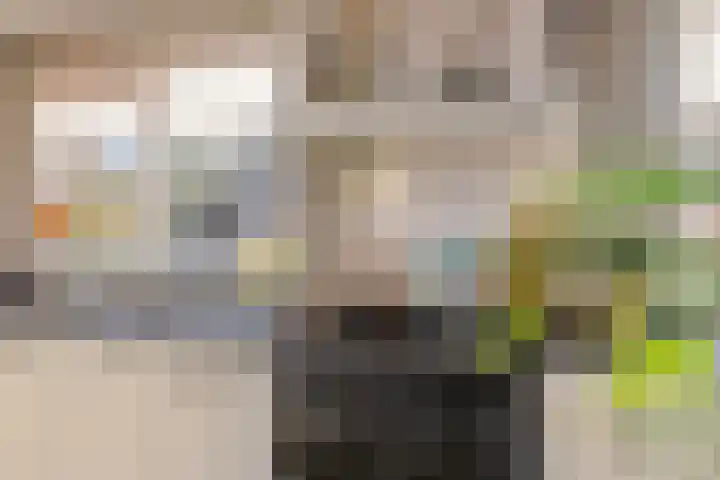 De Banier 25 Swifterbant thumbnail 16