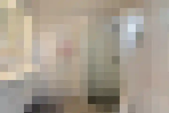 De Banier 25 Swifterbant thumbnail 19