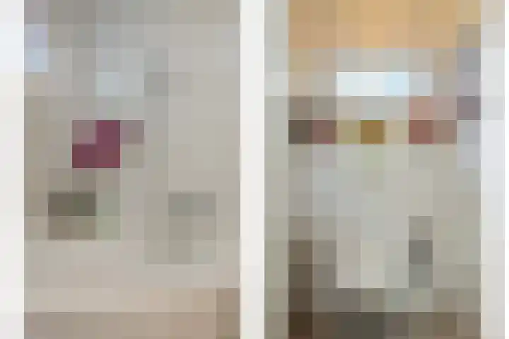 De Banier 25 Swifterbant thumbnail 20