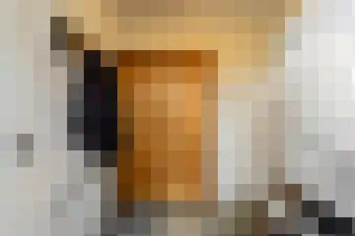 De Banier 25 Swifterbant thumbnail 21