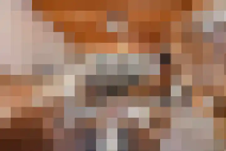 De Banier 25 Swifterbant thumbnail 22
