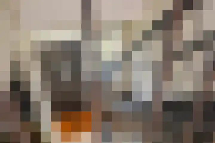 De Banier 25 Swifterbant thumbnail 26