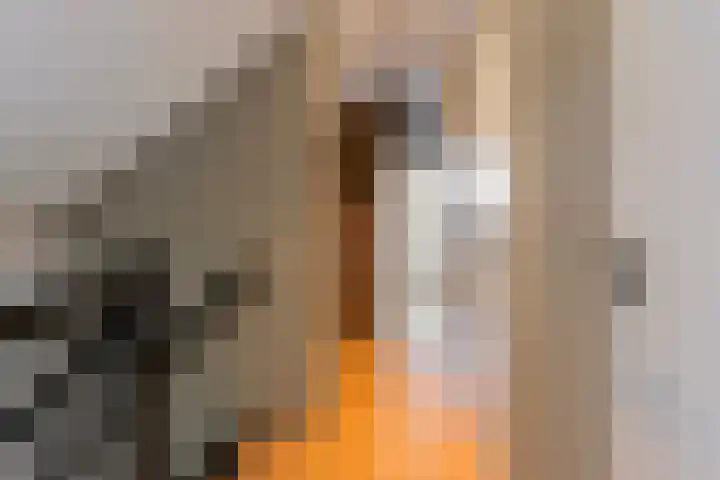 De Banier 25 Swifterbant thumbnail 27