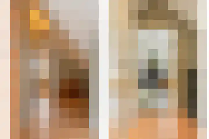 De Banier 25 Swifterbant thumbnail 28