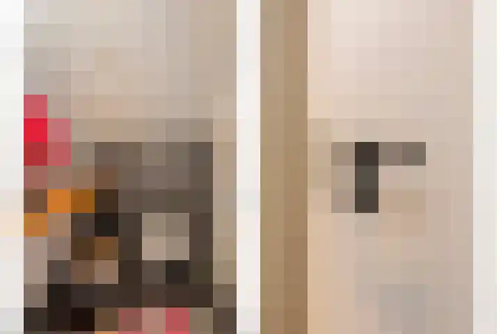 De Banier 25 Swifterbant thumbnail 29