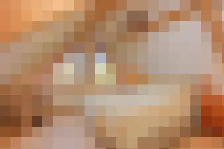 De Banier 25 Swifterbant thumbnail 30