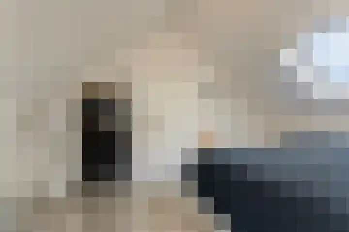 De Banier 25 Swifterbant thumbnail 35