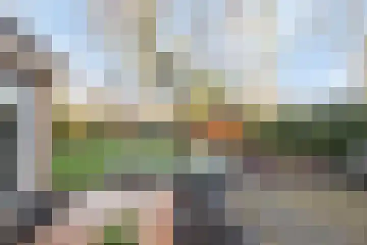 De Banier 25 Swifterbant thumbnail 36