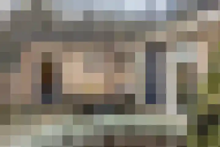 De Banier 25 Swifterbant thumbnail 37