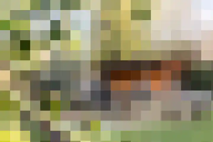De Banier 25 Swifterbant thumbnail 38