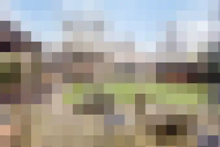De Banier 25 Swifterbant thumbnail 39