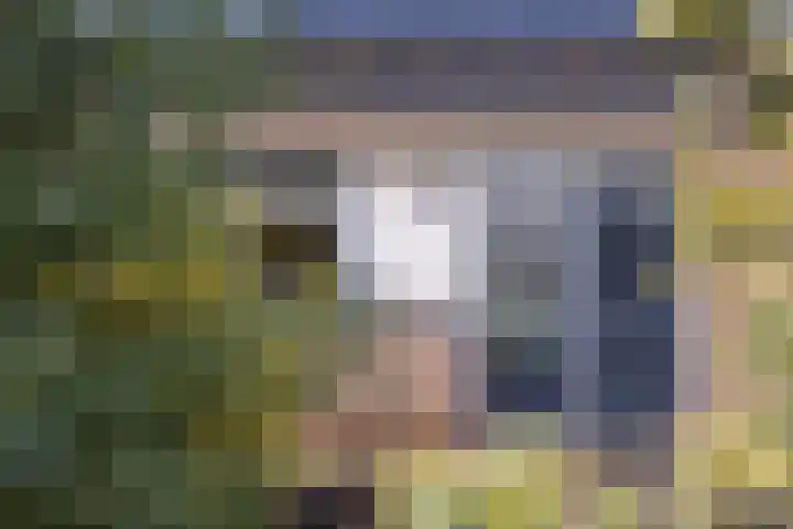 De Banier 25 Swifterbant thumbnail 4