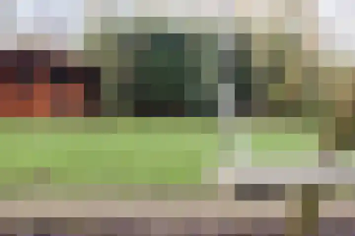 De Banier 25 Swifterbant thumbnail 40