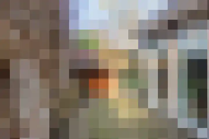 De Banier 25 Swifterbant thumbnail 41