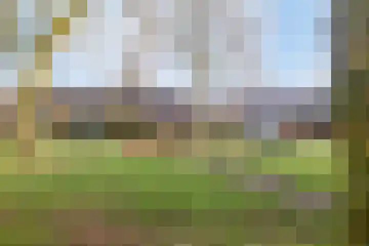 De Banier 25 Swifterbant thumbnail 42