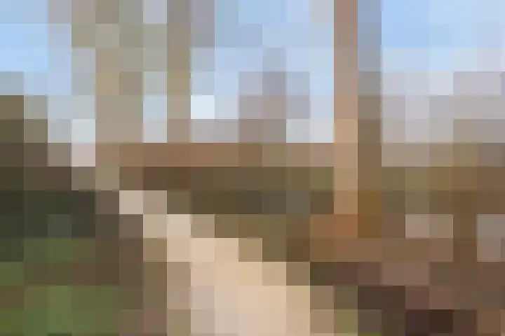 De Banier 25 Swifterbant thumbnail 43