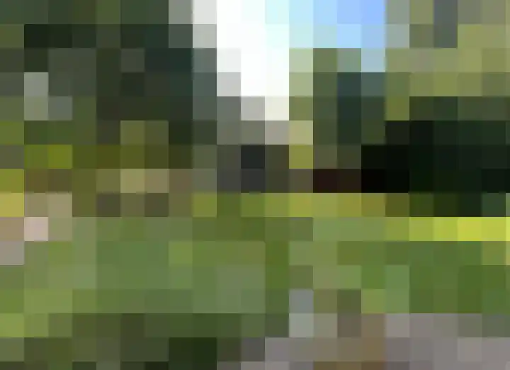 De Banier 25 Swifterbant thumbnail 45