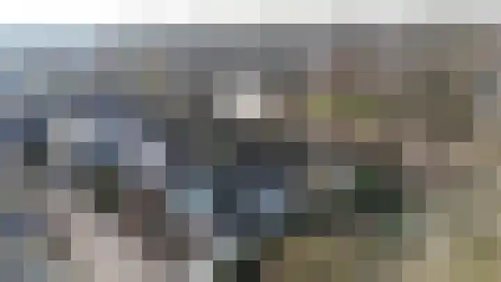 De Banier 25 Swifterbant thumbnail 48