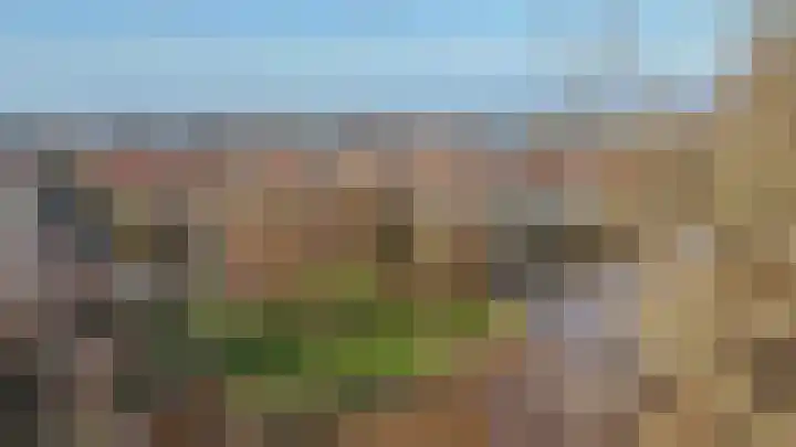 De Banier 25 Swifterbant thumbnail 49